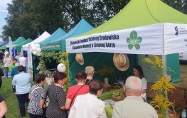 Dorady energetyczni na Dożynkach Wojewódzkich w Łagowie 