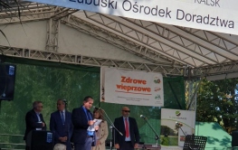 XV Kiermasz Ogrodniczy w Kalsku