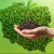 „Ogólnopolski program regeneracji środowiskowej gleb poprzez ich wapnowanie”