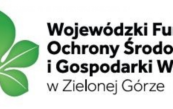 Mikołajkowy konkurs wiedzy o efektywności energetycznej i OZE  dla szkół podstawowych z województwa lubuskiego