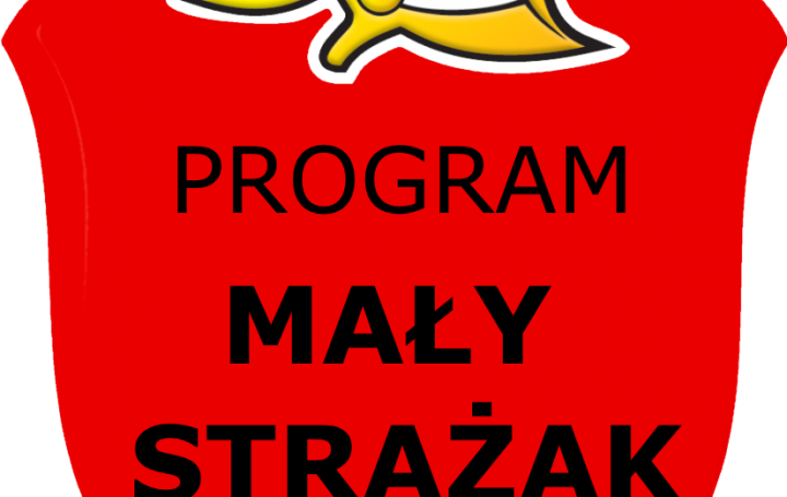 Mały Strażak edycja 2019