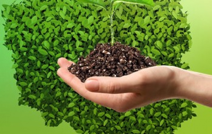 „Ogólnopolski program regeneracji środowiskowej gleb poprzez ich wapnowanie”